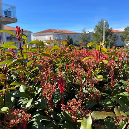 Spacious Seaside With Garden & Sea-view 昂蒂布