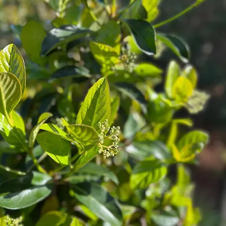 Spacious Seaside With Garden & Sea-view Apartmán *