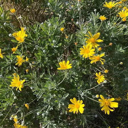 Spacious Seaside With Garden & Sea-view *