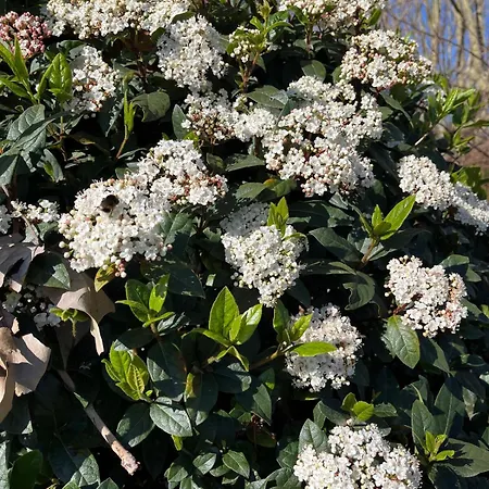 Spacious Seaside With Garden & Sea-view Antibes