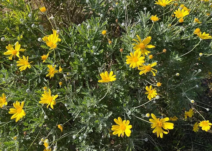 Spacious Seaside With Garden & Sea-view *