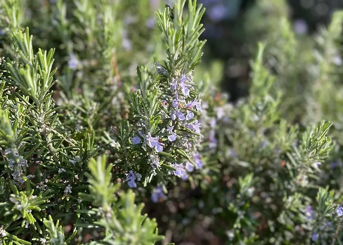 Spacious Seaside With Garden & Sea-view *