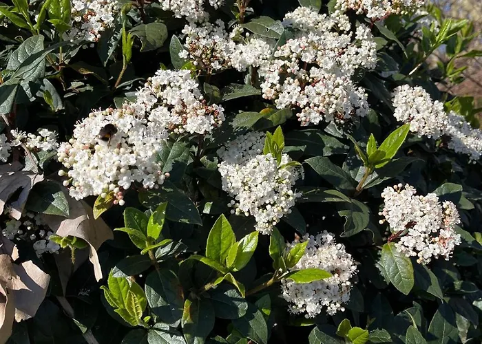 Spacious Seaside With Garden & Sea-view Αντίμπ