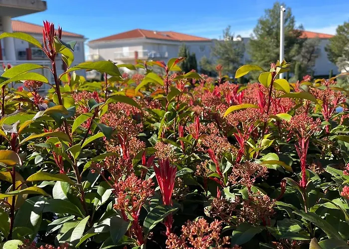 Spacious Seaside With Garden & Sea-view Antibes